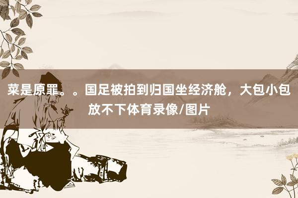 菜是原罪。。国足被拍到归国坐经济舱，大包小包放不下体育录像/图片