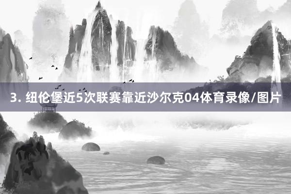 3. 纽伦堡近5次联赛靠近沙尔克04体育录像/图片