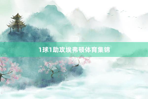1球1助攻　　埃弗顿体育集锦