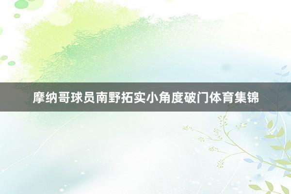 摩纳哥球员南野拓实小角度破门体育集锦